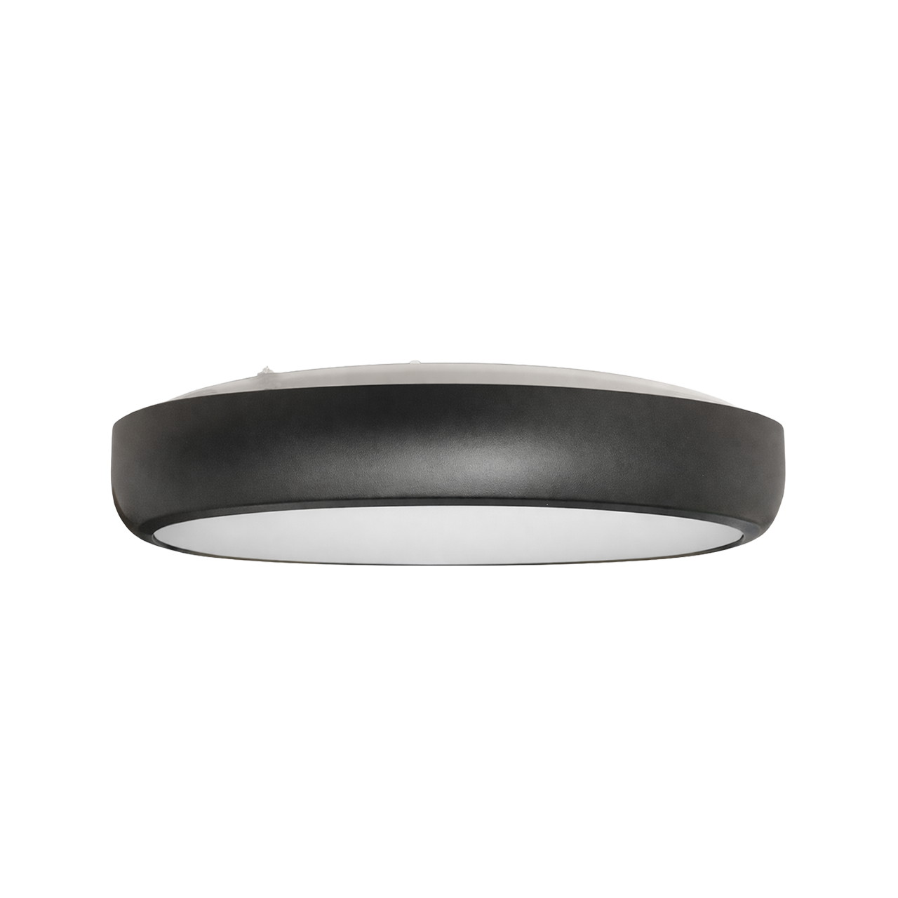 GLOBE/S 12W OPL 930 BK IP65 — изображение 3