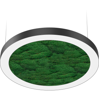 NATURE OREOL MOSS FLD/P (850) 840 WH