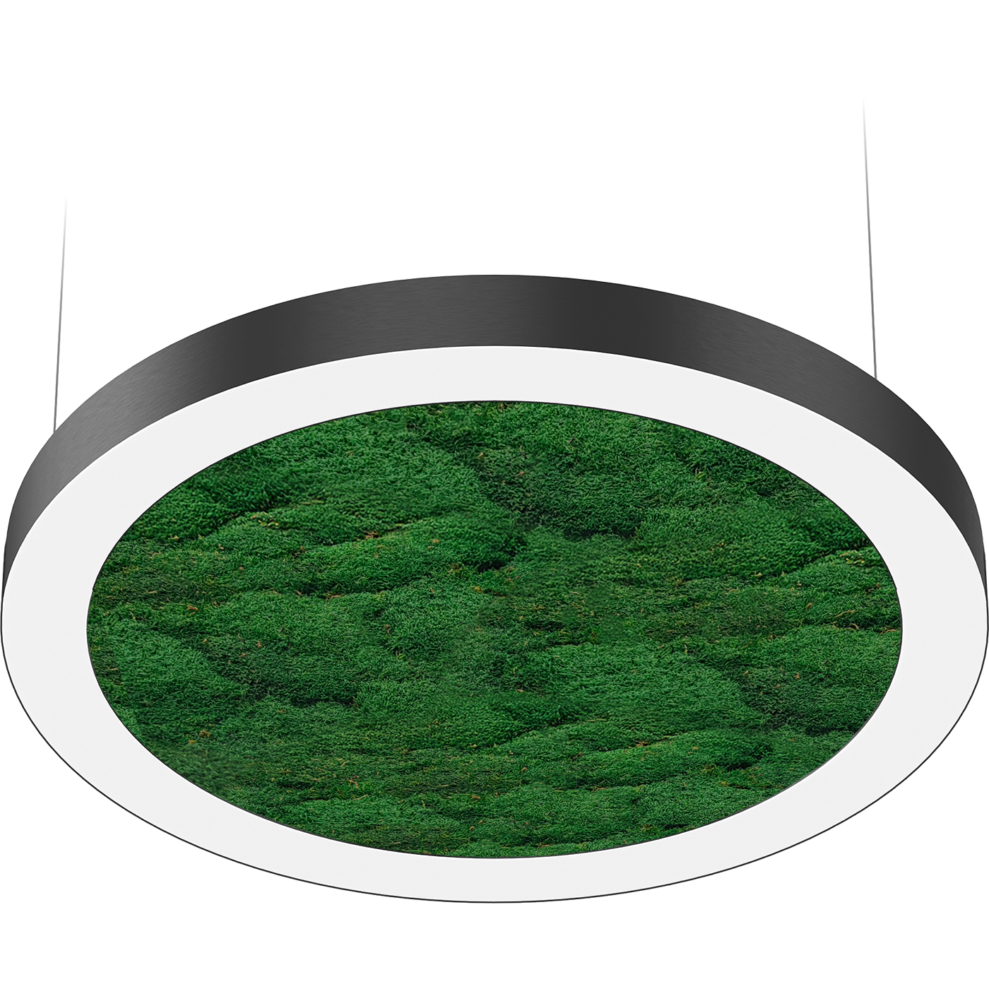 NATURE OREOL MOSS FLD/P (850) 840 BK