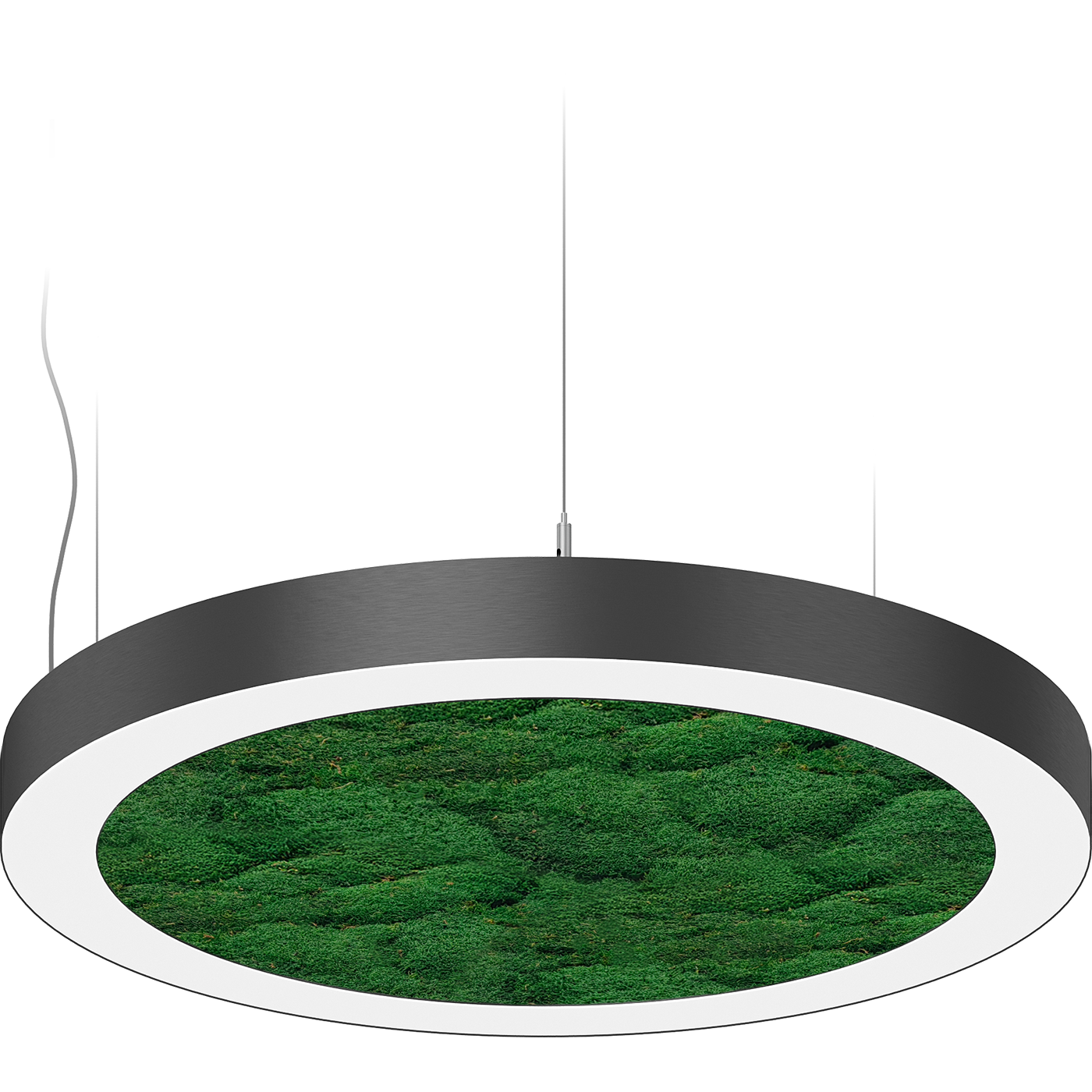 NATURE OREOL MOSS FLD/P (1500) 840 WH — изображение 2