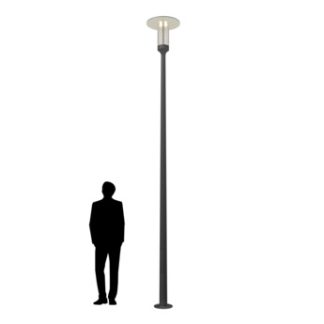 IDALGO 30W RW 830 RAL9005 POLE 4M SET (в комплекте ЗДФ)