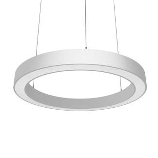 ДСО32-60-101 Ring 840