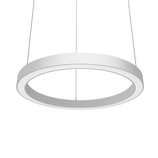 ДСО32-80-201 Ring 840