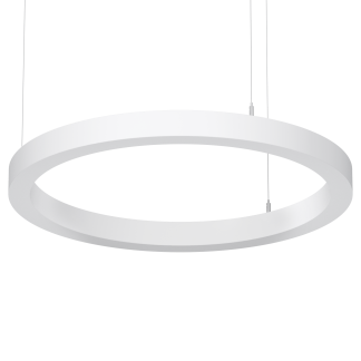 ДСО33-40-101 Horizon Ring 940