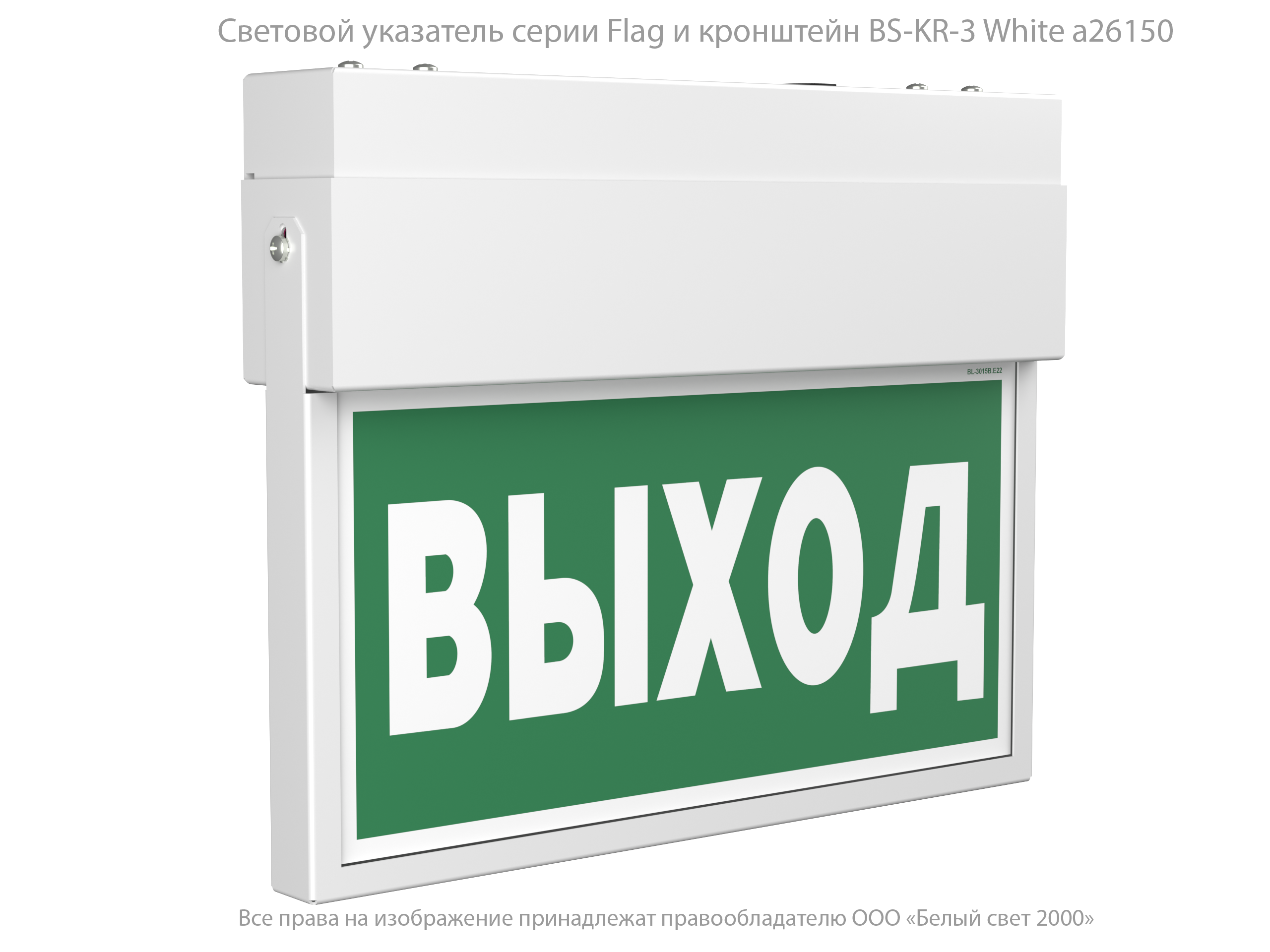 Световой указатель BS-FLAG-10-S1-BSE5