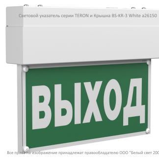 Световой указатель BS-TERON-10-S1-ELON