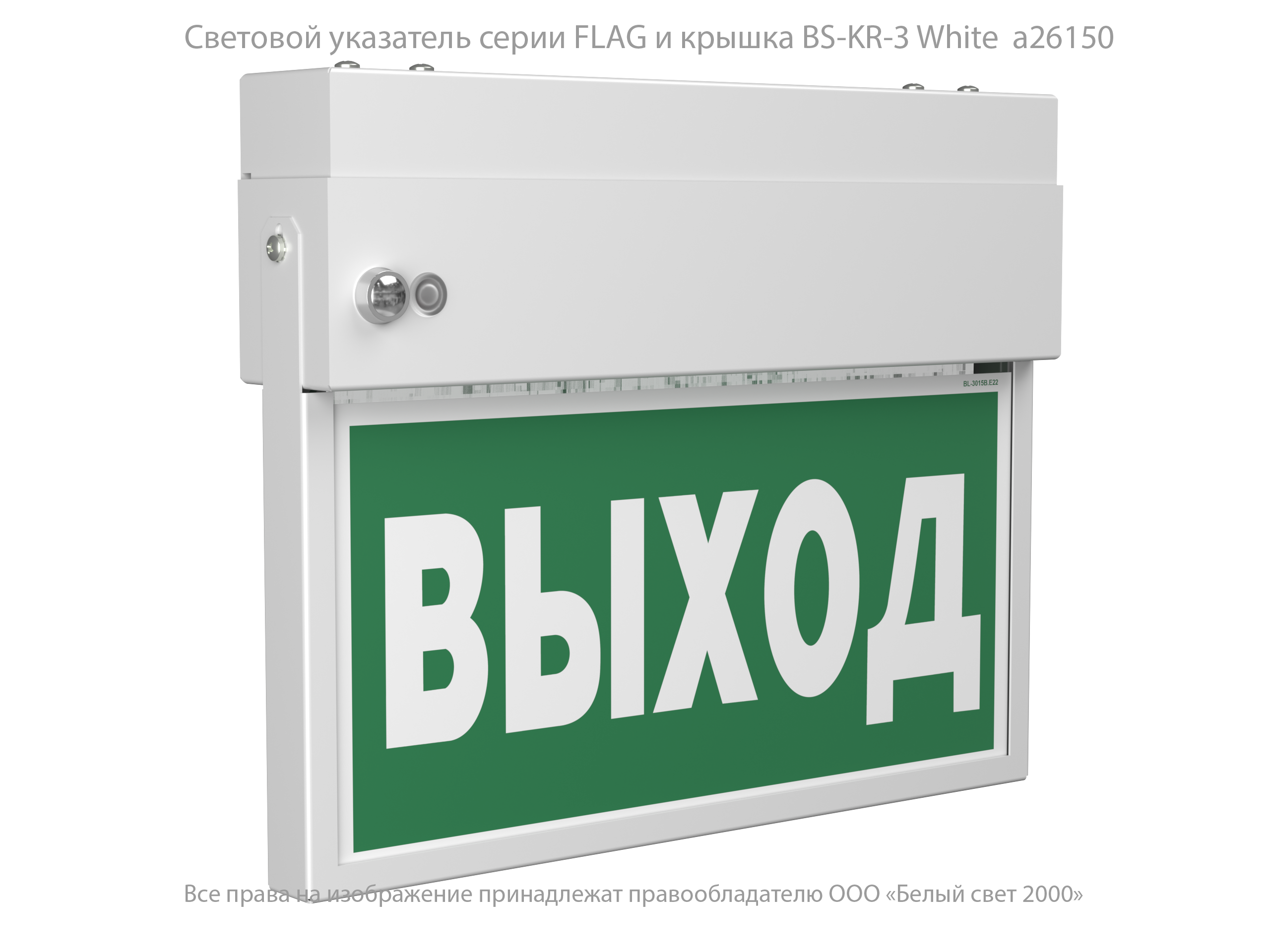 Световой указатель BS-FLAG-81-S1-INEXI3-FELS