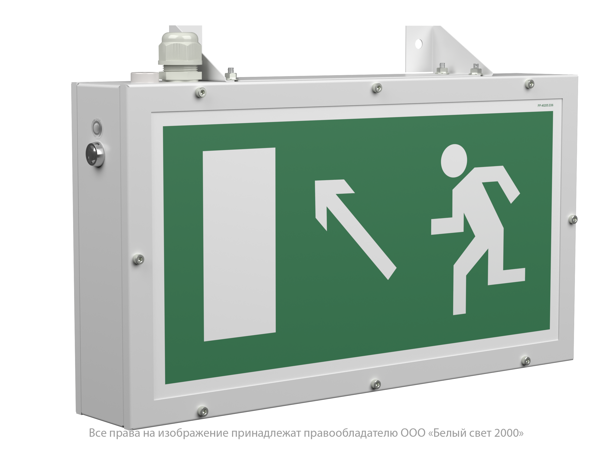 Световой указатель BS-FLAGMAN-81-S1-INEXI3-FELS