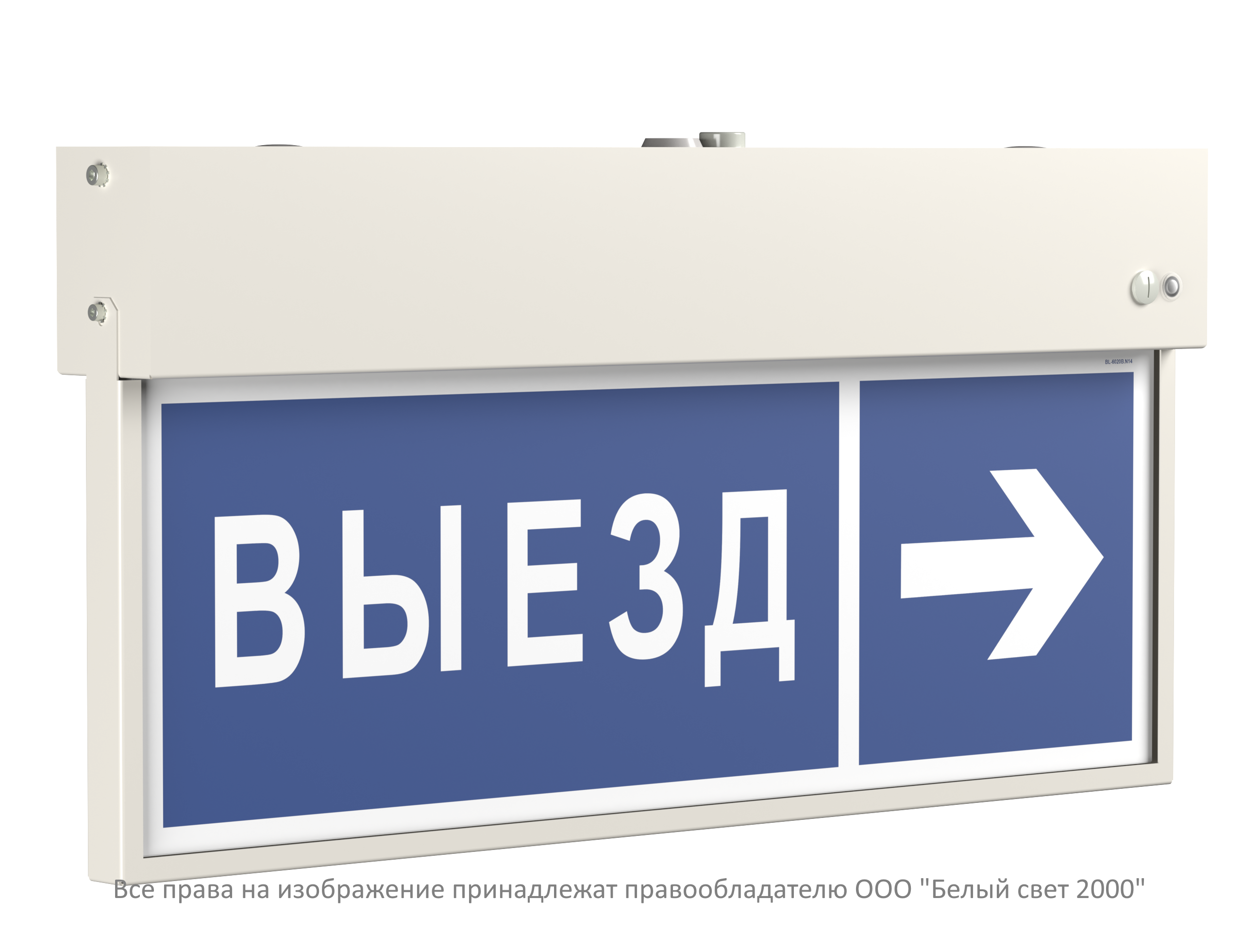Световой указатель BS-VIZIV-10-S1-BSE5