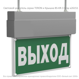 Световой указатель BS-TERON-10-S1-ELON Gray