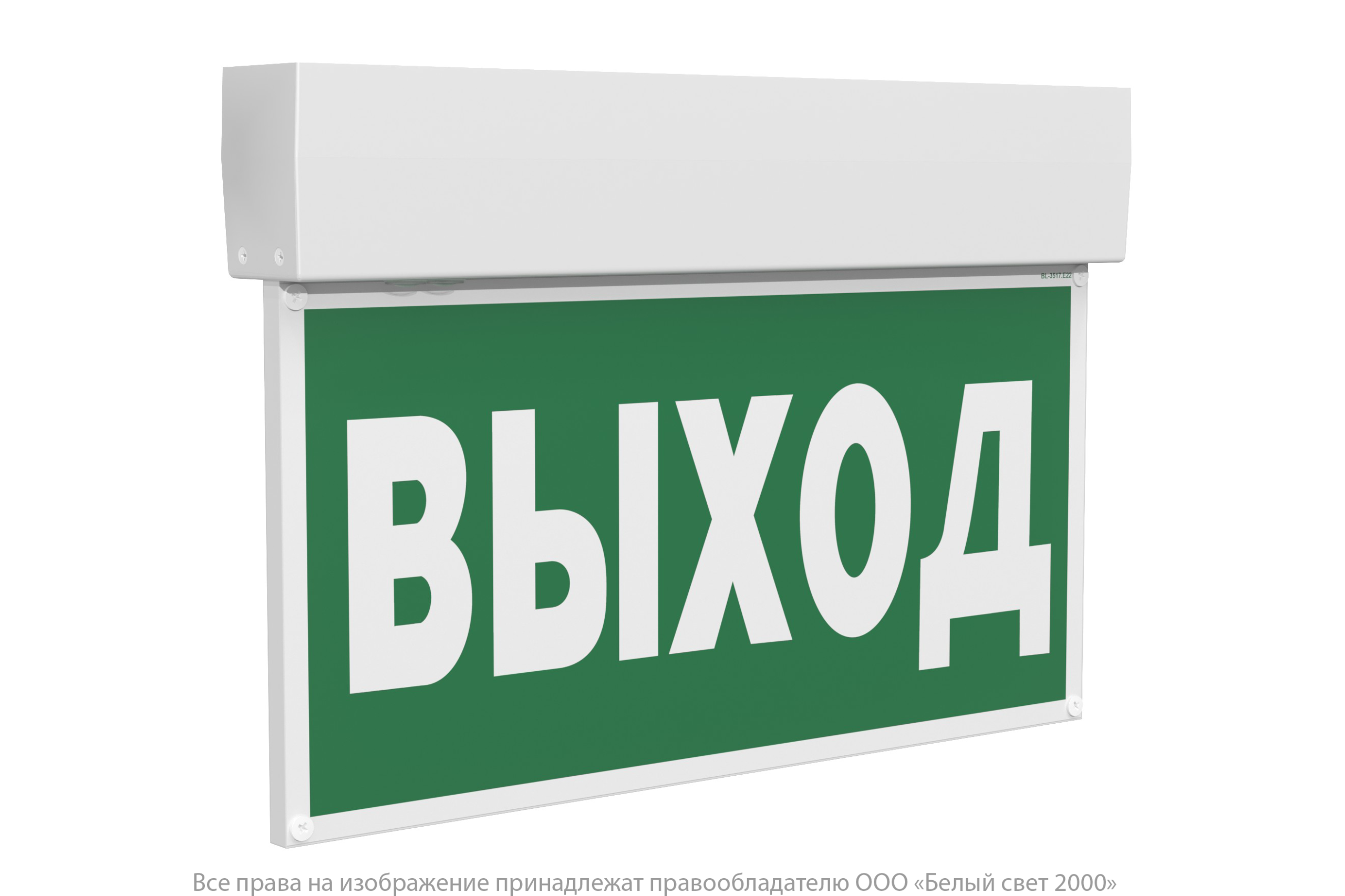 Световой указатель BS-KURS-73-S1-INEXI3