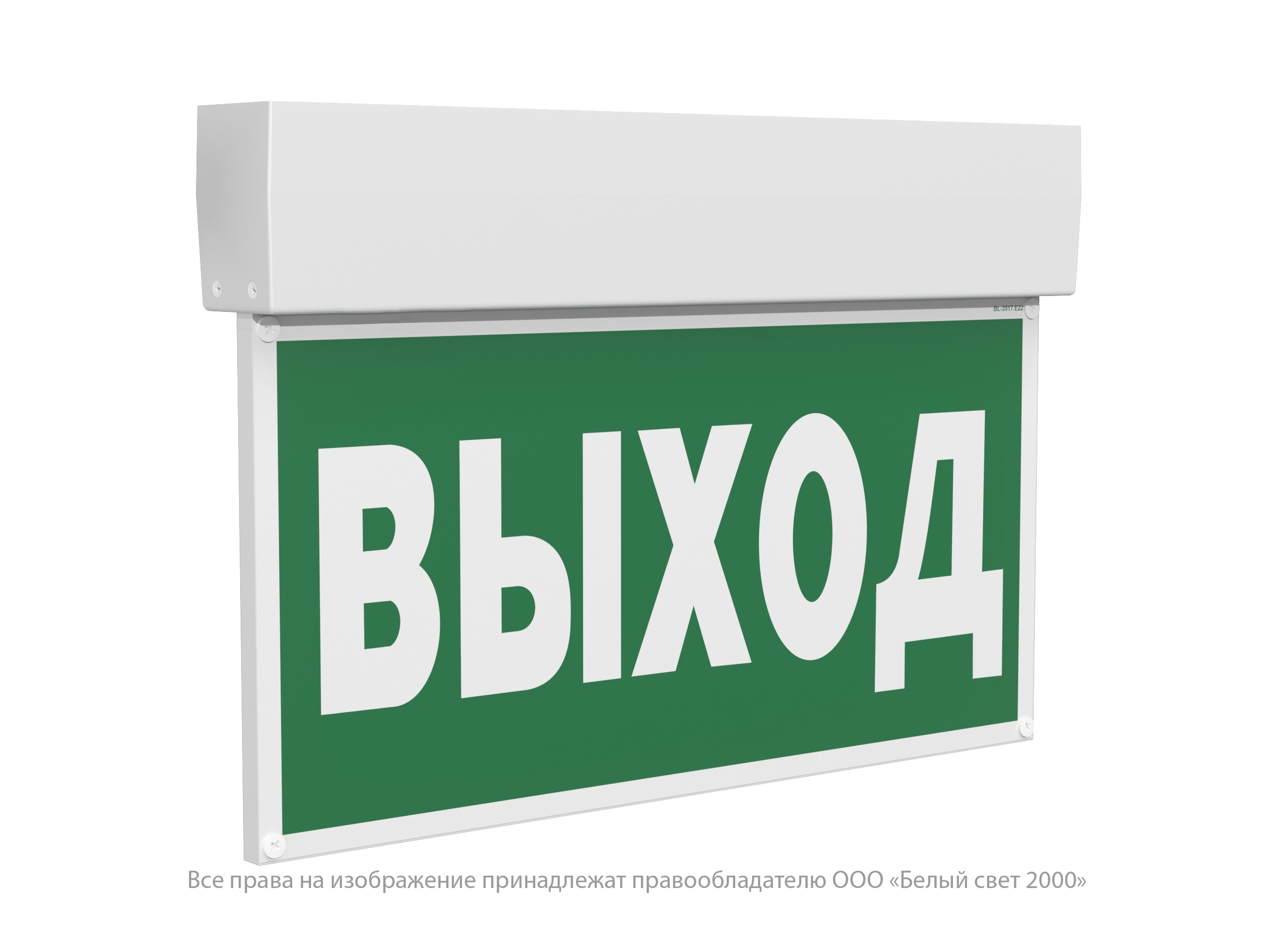 Световой указатель BS-KURS-10-S1-BSE5