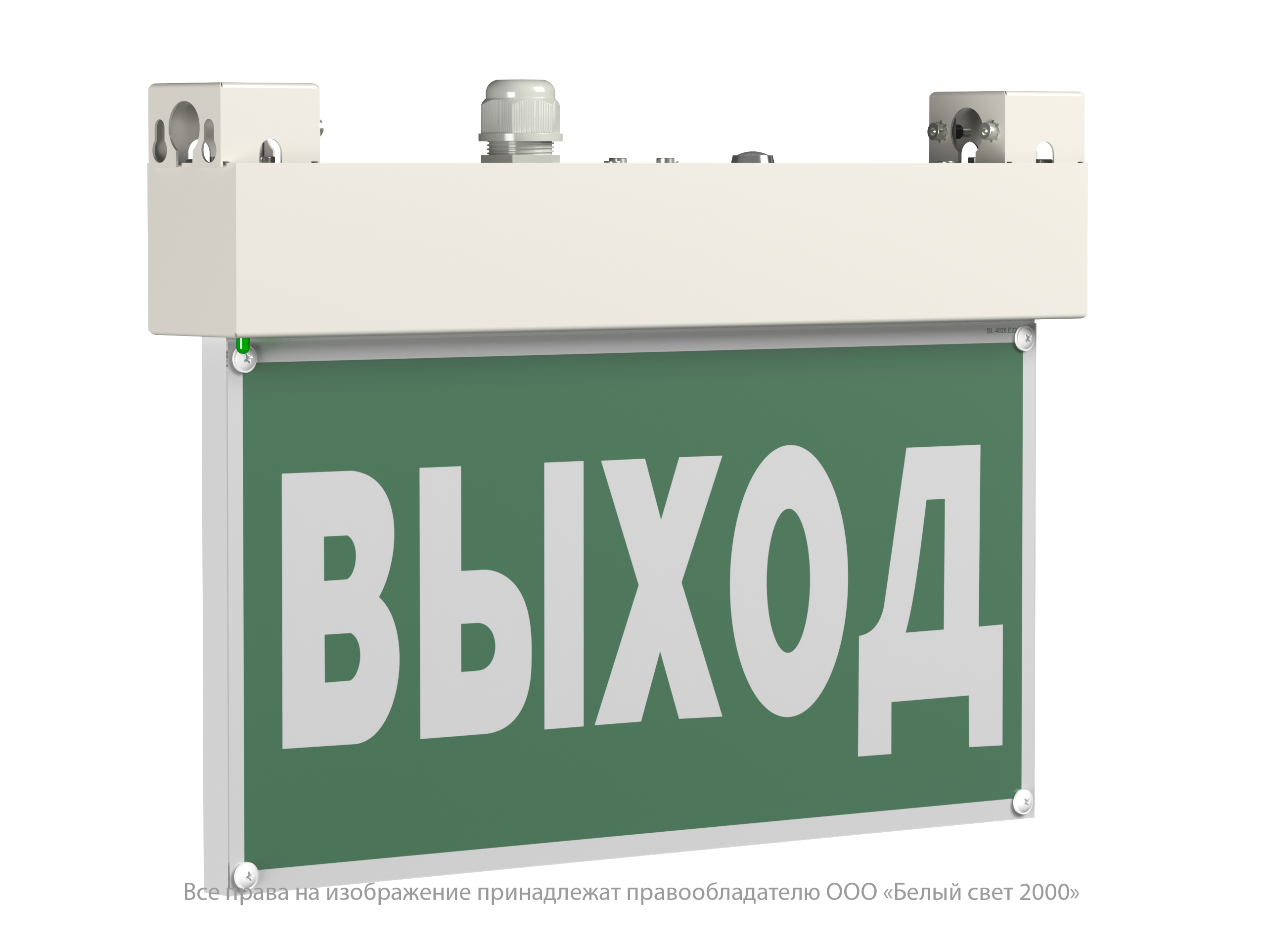 Световой указатель BS-EVERON-51-S1-INEXI3-MSS3