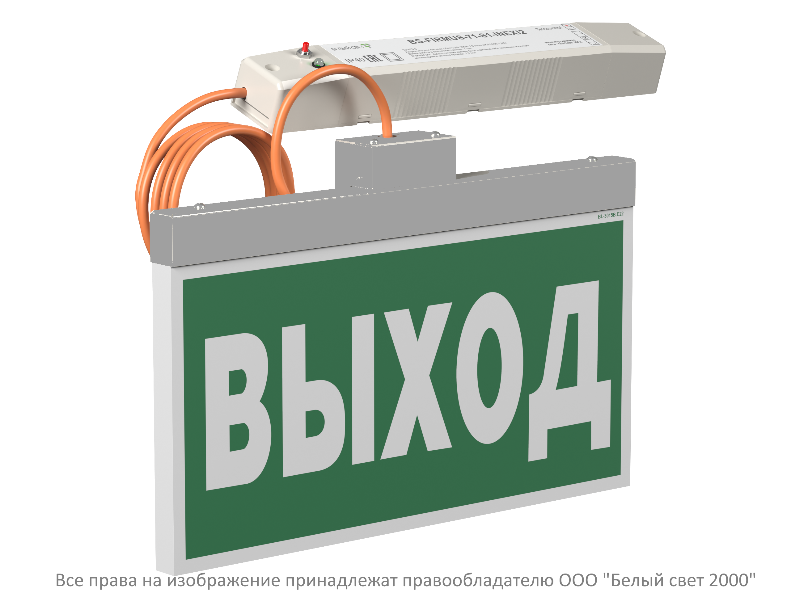 Световой указатель BS-FIRMUS-71-S1-INEXI3