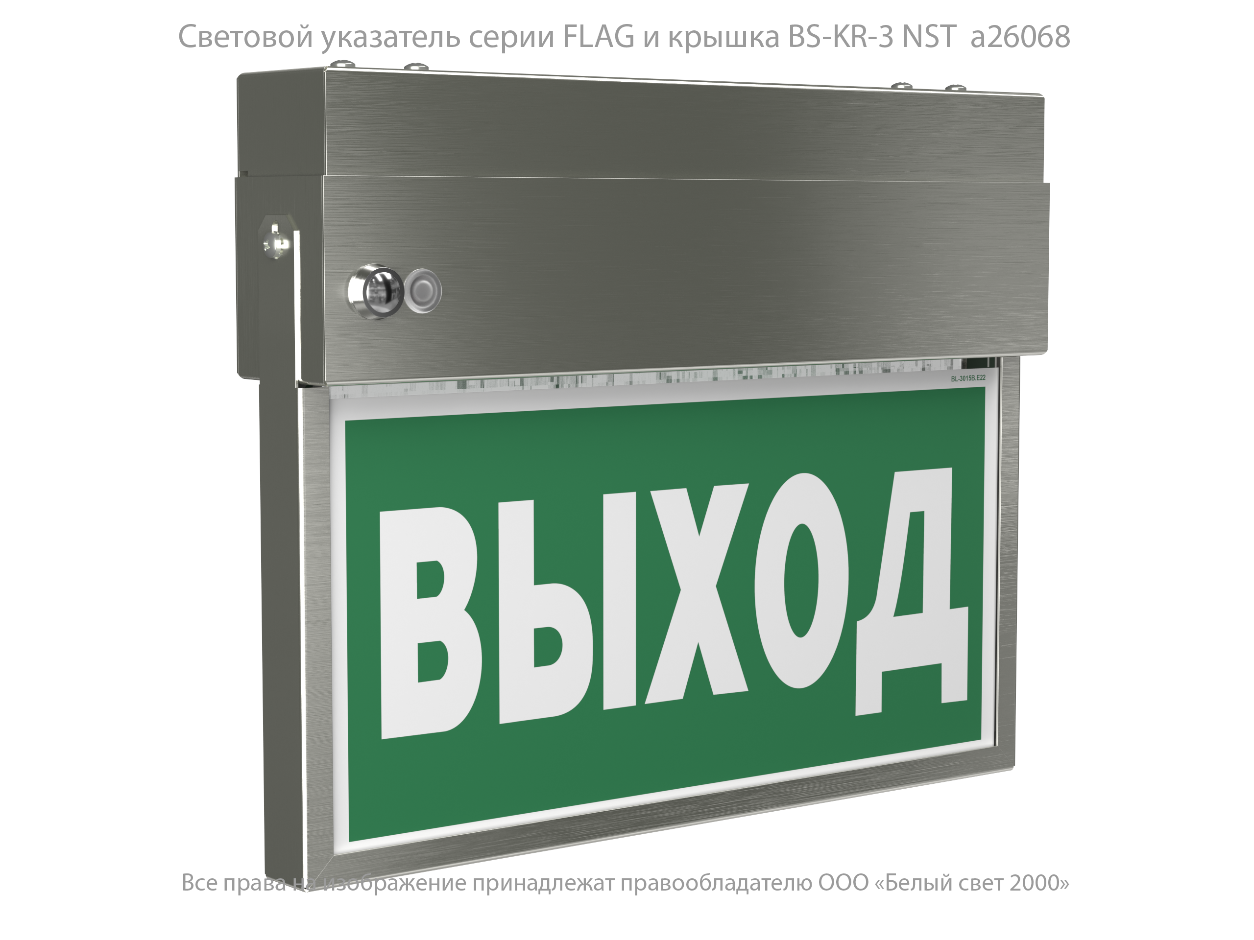 Световой указатель BS-FLAG-73-S1-INEXI2 NST