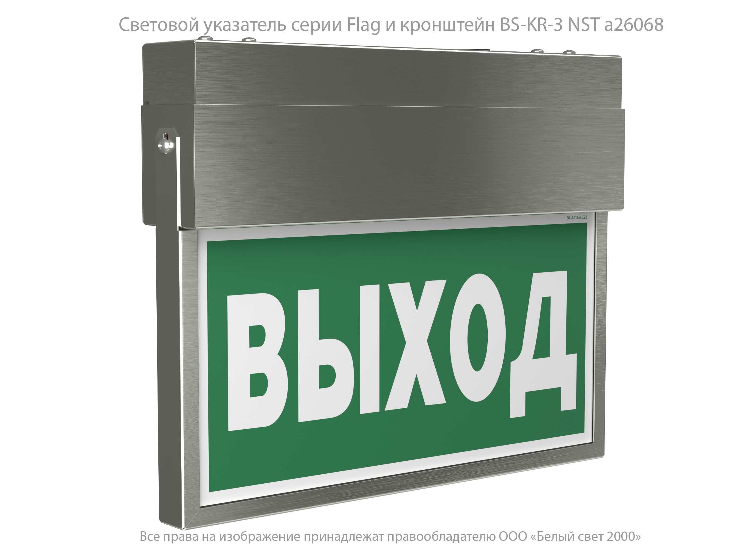 Световой указатель BS-FLAG-10-S1-24 NST