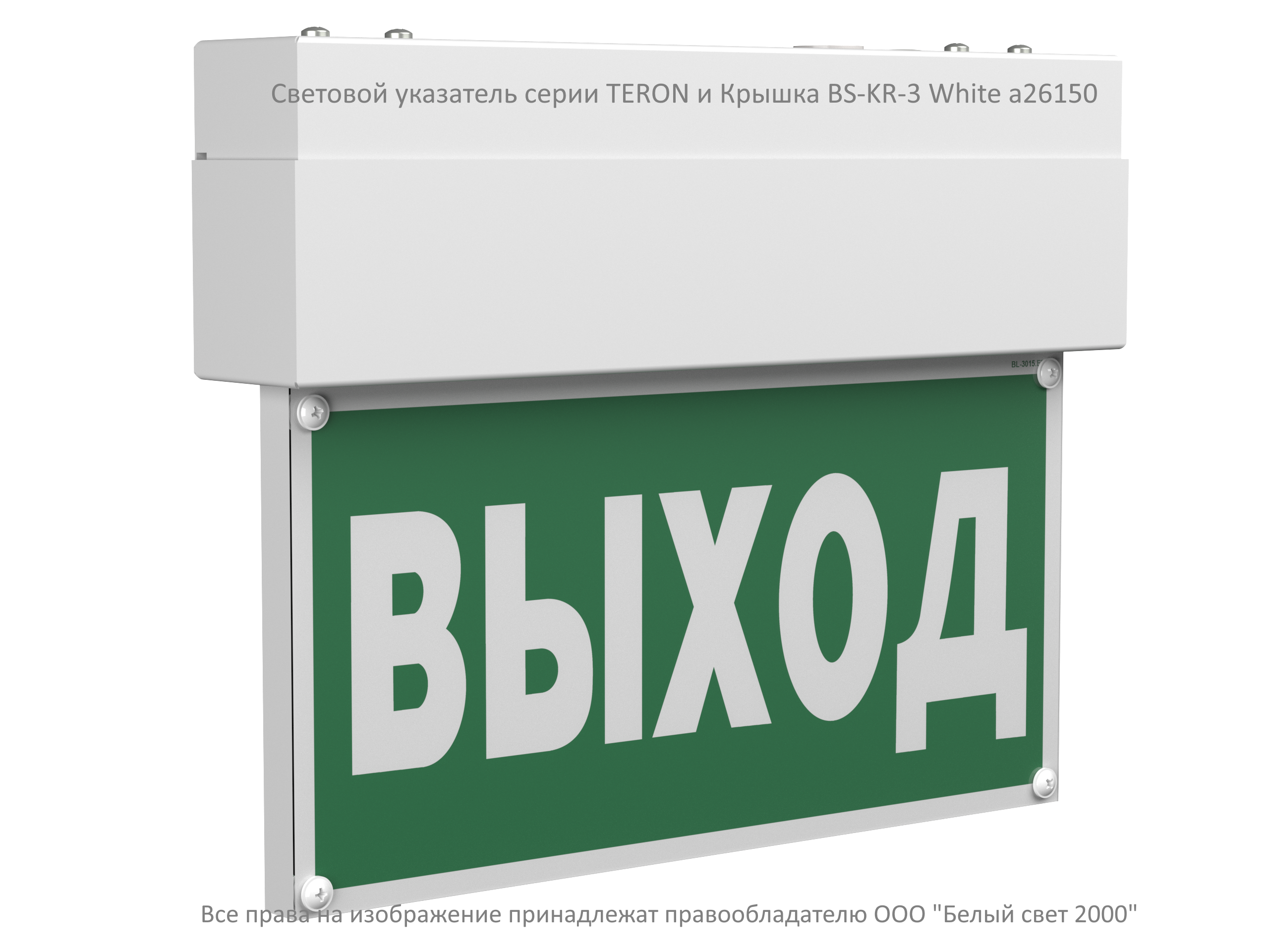 Оповещатель пожарный световой BS-TERON-10-F1-12