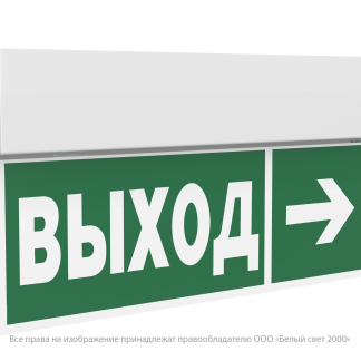 Световой указатель BS-KURS-71-S2-INEXI3 MSS