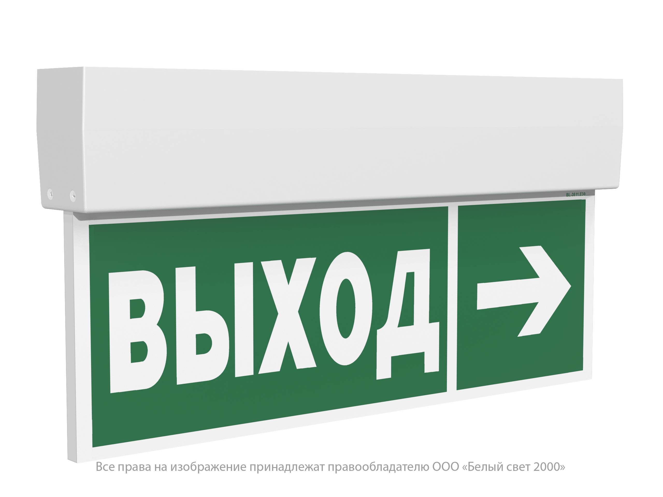 Световой указатель BS-KURS-10-S2-BSE5