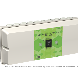 УДТУ BS-TELECONTROL-1-200 BOX IP65